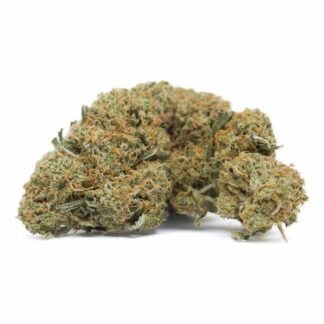 Amnesia CBD 🐲